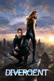 Divergent (2014) poster