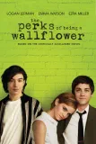 The Perks of Being a Wallflower (2012) poster